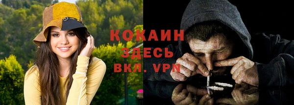 тгк Белокуриха