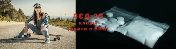 ПСИЛОЦИБИНОВЫЕ ГРИБЫ Беломорск