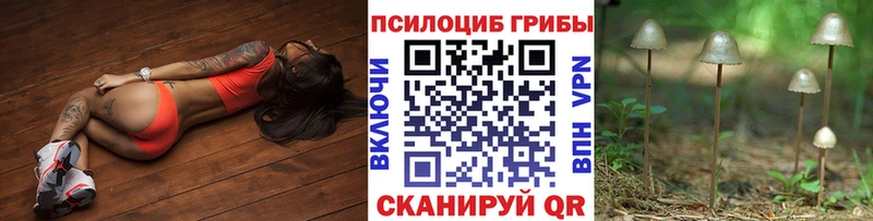 Галлюциногенные грибы Cubensis  гидра как войти  Воркута  наркотики 